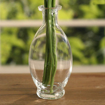 Glass Shaped Bottles 16cms Tall 2 Shapes to Choose From (Bulb)