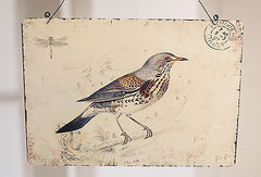 Tin Hanging Antique Style Bird Postcard Design