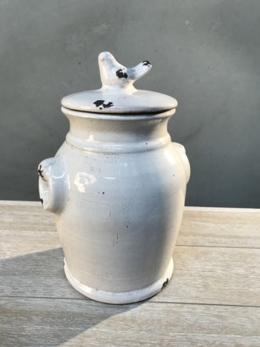 Canister Rustic Cream Ceramic Bird Top 30cms Vase