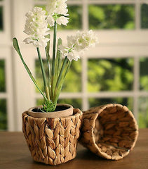 Woven Cachepot Home Decor Gift 12cms 2 Shapes Available (Round)