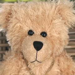 Teddy Bear 'Angus' Settler Bears with Key 38cms