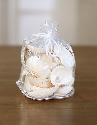 Sea Shells Beach Home Decor Vase Filler Assorted Colours Seaside #2 BRAND NEW
