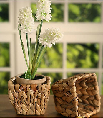 Woven Cachepot Home Decor Gift 12cms BRAND NEW 2 Shapes Available (Square)